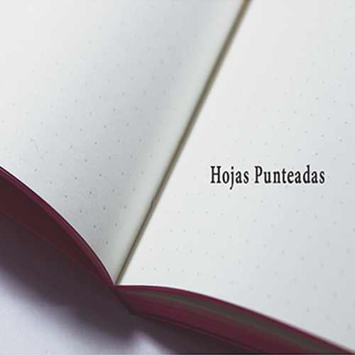 Pack Lettering Brush Pen 48 Col. + Libreta Puntos + Bolsita